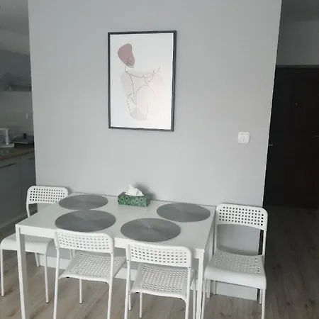 Olsztynska Apartment *